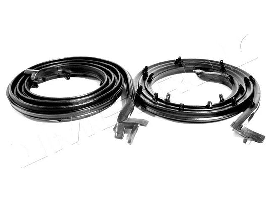 1965-1969 AMC American Motors American, Rambler 2 dr hardtop new door seals, pr