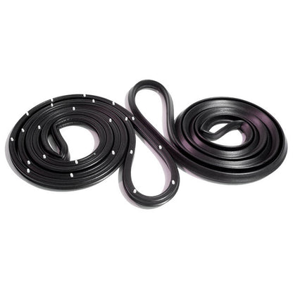 Front Molded Door Seals For Buick LeSabre 1969-1970, Wildcat 1969-1970; LM 21-H